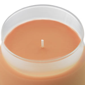 ILLUMINATIONS French Apricot Frosted Scented Candle