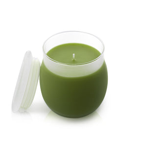 ILLUMINATIONS Giverny (Monet's Garden) Frosted Scented Candle