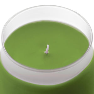 ILLUMINATIONS Giverny (Monet's Garden) Frosted Scented Candle