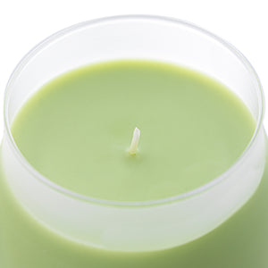 ILLUMINATIONS Pineapple Cilantro Frosted Scented Candle