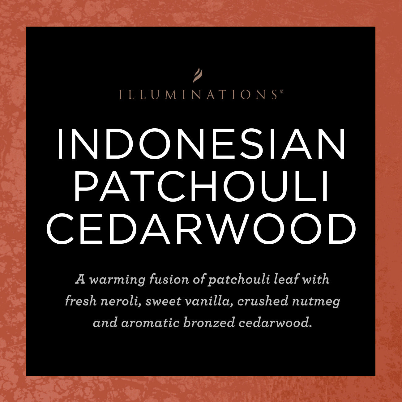 Buy ILLUMINATIONS Indonesian Patchouli Cedarwood Signature Scented Candle Online Illuminations